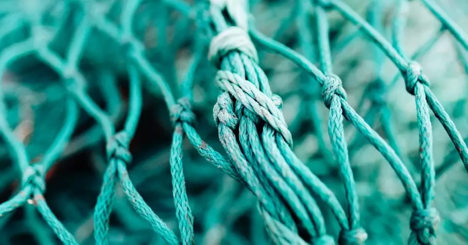 Um Guia Bíblico sobre os 12 Discípulos de Jesus