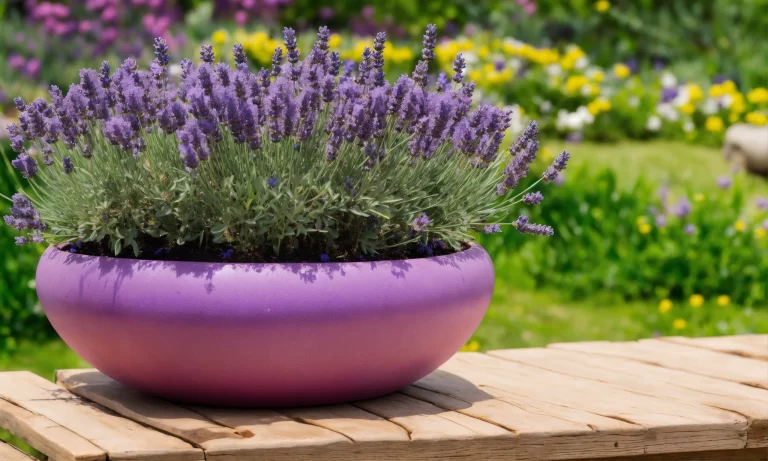 Perfume de Alfazema e Espiritualidade: Reconexão e Paz Interior