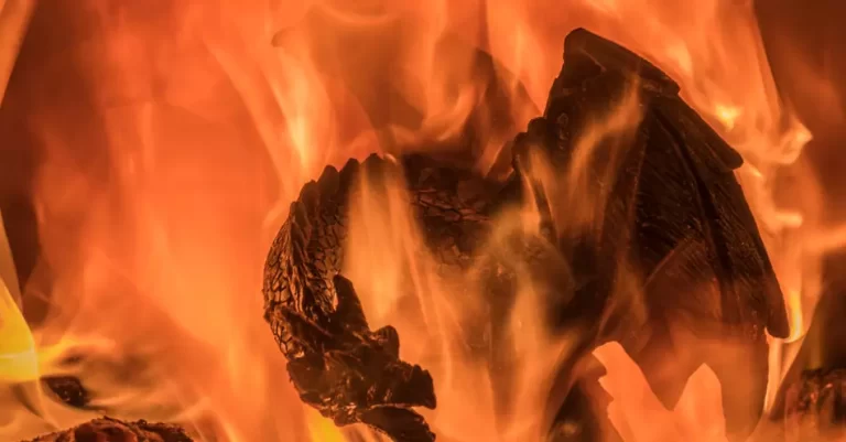 O que a Bíblia Diz sobre Dragões?