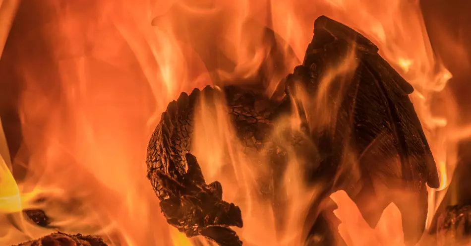 O que a Bíblia Diz sobre Dragões?