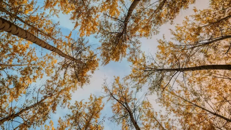 Por que (realmente) nos tornamos indiferentes à oração?