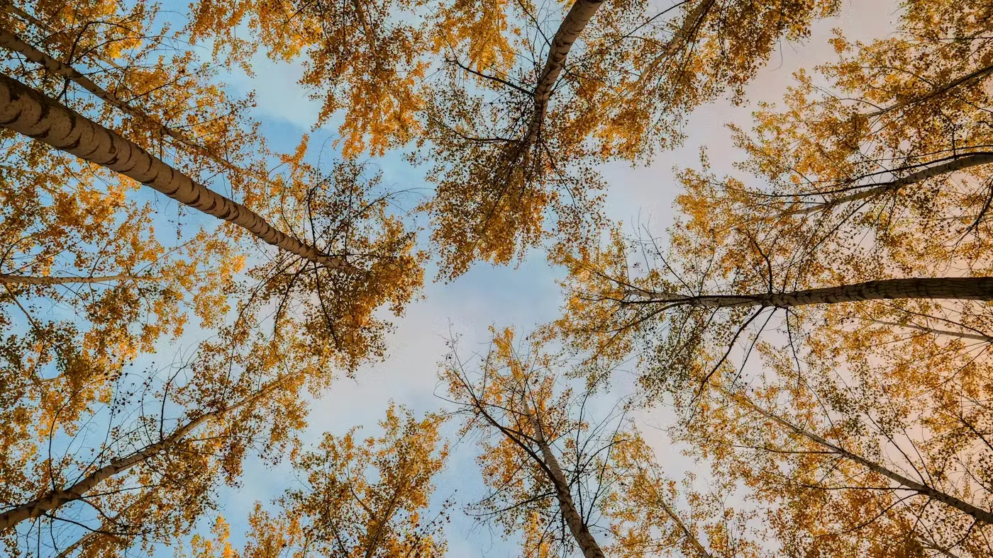 Por que (realmente) nos tornamos indiferentes à oração?