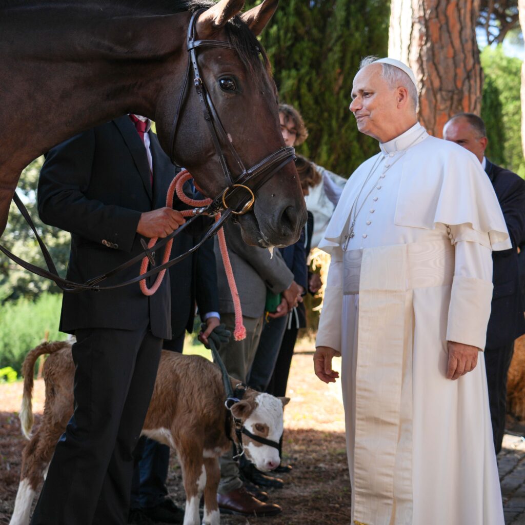 Papa critica tratamento dado a migrantes nos EUA como “extremamente desrespeitoso”.