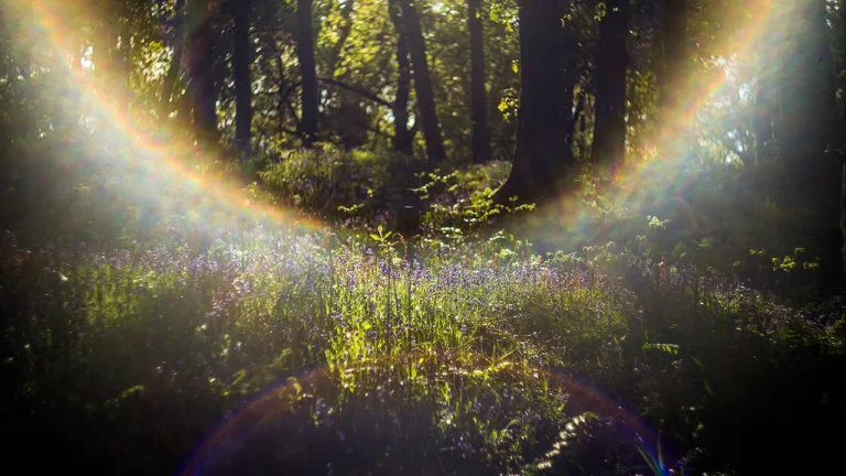 Quão espiritual é o seu estado?