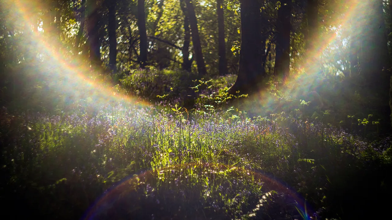 Quão espiritual é o seu estado?